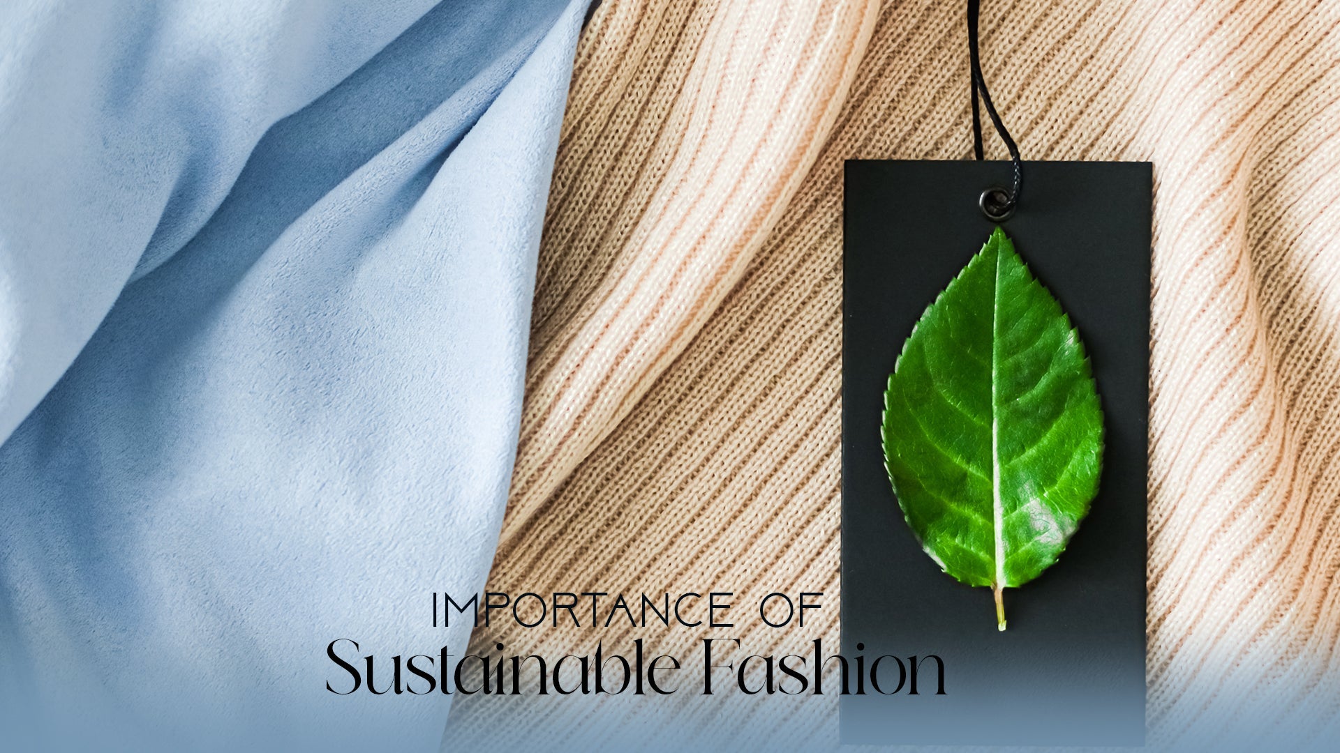 Importance of Sustainable Fashion - Vasya